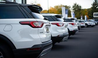 A row of white suvs parked in front of a dealership photo