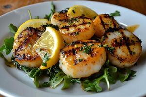 Grilled scallops with lemon and arugula photo