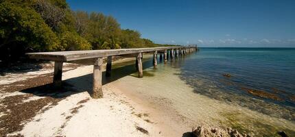 Rustic Wooden Pier Extends Out to Calm Waters photo