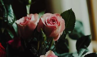Close-up of delicate pink roses with lush green leaves. A bouquet of roses in soft focus photo