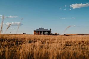 A small house in the middle of a field photo