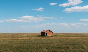 Lonely farmhouse in vast prairie landscape. A small, weathered wooden structure stands alone in a wide expanse of tall grass under a bright blue sky photo