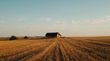Rustic wooden barn in golden field at dawn photo