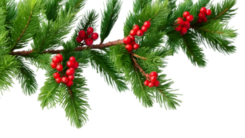 Cotoneaster bush, red berries covered with Creative Transparent Texture png