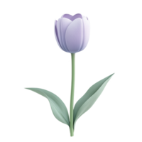 A single pastel colored tulip showcases its smooth delicate petals png