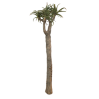 Unique 3D rendering of a tall, textured tree with distinctive foliage png