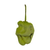 Unique green pepper with a bumpy texture in 3D rendering png