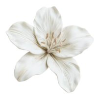 Realistic artificial white lily flower background, on transparent isolated perfect for design projects png