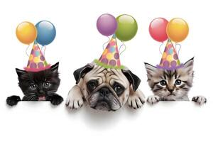 Kittens and pug with festive birthday hats create playful, joyful scene photo