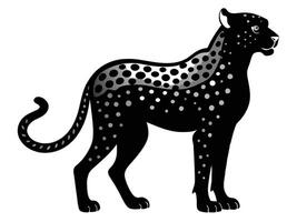 A black and white cheetah is standing in front of a white background vector