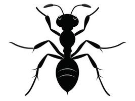 Ant insect silhouette on a white background vector