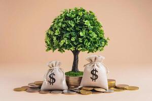 Green tree growing from coins with two money bags on either side photo