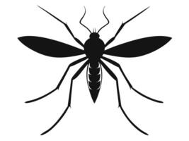 A mosquito silhouette on a white background vector