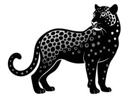 A black and white leopard is standing on a white background vector