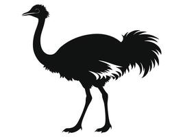 An ostrich silhouette is shown on a white background vector