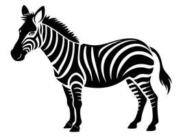 Zebra silhouette on white background vector