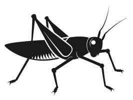 Silhouette of a grasshopper on a white background vector