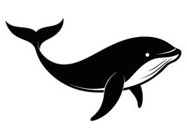 A whale is shown in black and white on a white background vector