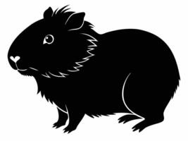 A black and white guinea on a white background vector