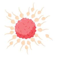Sperm directed towards the egg bubble vector