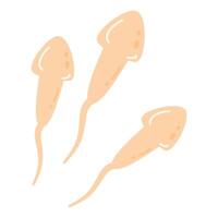 Sperm Cells Fertilizing an Egg Cell icon vector