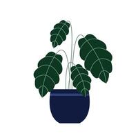 plant in a pot, on a white background in a flat style, isolated vector