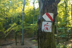 Red sign marking tourist mountain trail, rectangular painted tree mark sign, stripes symbol macro, extreme closeup, front view detail. Red sign signifying the main hiking trail, nobody. photo
