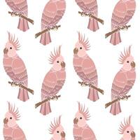 Seamless pattern, hand-drawn pink parrot birds on a branch on a white background. Print, textile vector