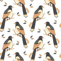 Seamless pattern, cute magpie birds on a branch on a white background. Print, textile vector