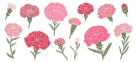 Set of pink and red carnations. Flowers in flat in hand-drawn style. Illustration isolated on white background. Carnations of different shapes and types. Suitable for invitations, cards vector