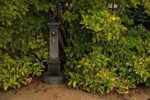 Drinking water in the public park. A faucet with water on the street. High quality photo. photo
