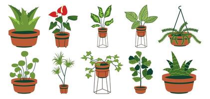 Collection of various indoor plants in pots, isolated on white background vector