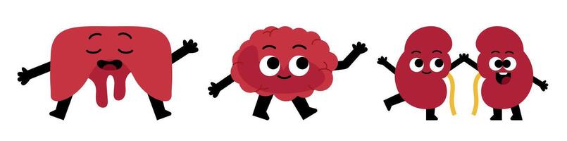 Happy internal organs cartoon characters illustration for educational materials vector