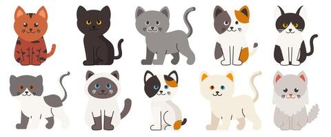 Diverse cartoon cat characters in various colors and patterns illustration vector