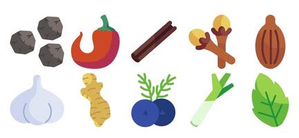 Spice Selection Flat Design Illustration, Culinary Herb and Ingredient Assortment vector