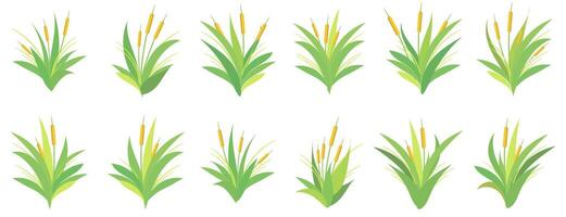 Stylized cattail plants in various groupings, ideal for graphic design use vector