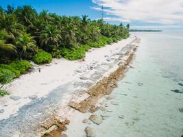 Maldive island and ocean with beach and coconut palm trees photo