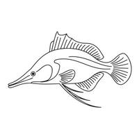A fish coloring page with a black outline vector
