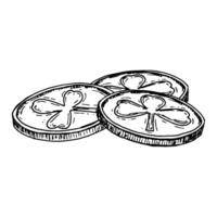 A black and white hand-drawn illustration of three lucky gold coins engraved with shamrocks. A classic symbol of Irish folklore, wealth, and prosperity, commonly associated with St. Patrick s Day vector