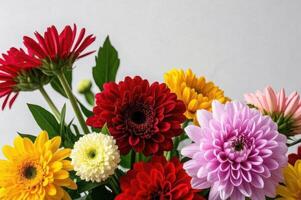 Arrangement of vibrant flowers showcasing a variety of colors and textures isolate on white background. photo