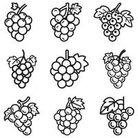 A simple line drawing of a cluster of grapes with a green leaf atop, depicting their rounded shape and natural arrangement. vector