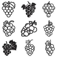 A minimalist line drawing of a bunch of grapes with a single leaf, showcasing various circular grapes and a natural, simple design. vector