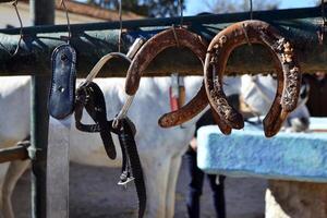 Equestrian tools and horseshoes hanging in a rural spanish setting photo