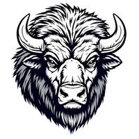 The head of an american buffalo on a white background vector