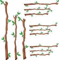 a set of branches with leaves vector