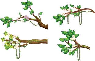 four different branches with flowers and leaves vector