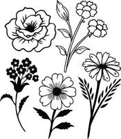 Minimalist Bloom and Blossom Line Art vector