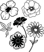 Free Wildflower Illustration Set in Format vector