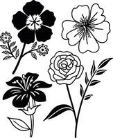 Doodle Floral Arrangements and Bouquets in Sketch Style vector