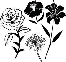 Elegant Floral Line Drawing Set vector
